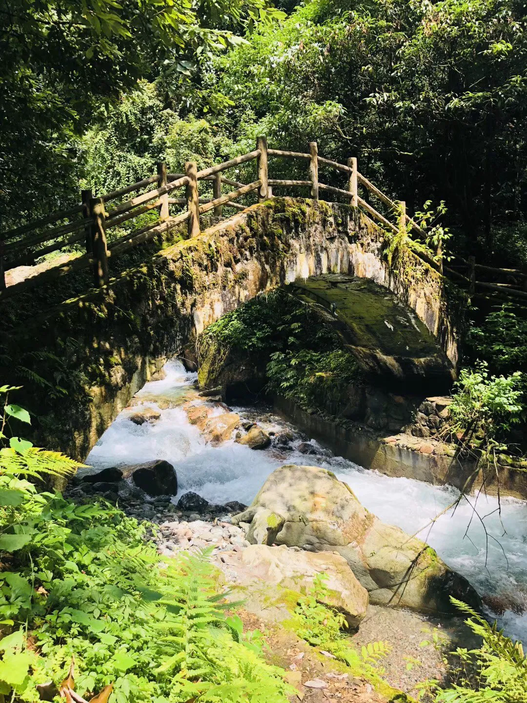 解答疑问,尽在抑郁症的躯体症状有多可怕?知识问答网页!